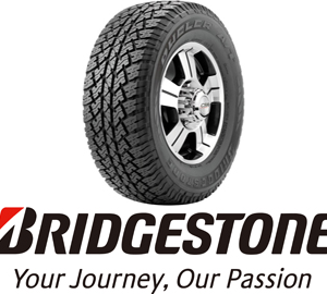 צמיג 225/75R15C D693 6 PR 110S OE